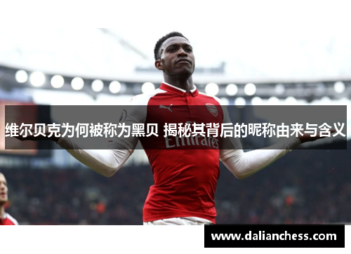 维尔贝克为何被称为黑贝 揭秘其背后的昵称由来与含义